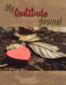 My-Gratitude-Journal-eCover